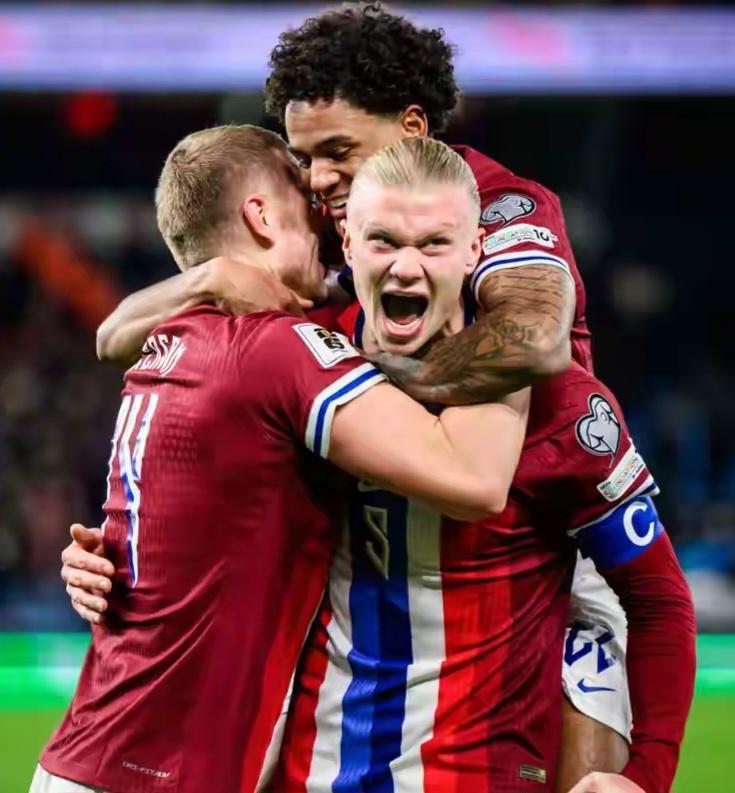 营与打野节 营与打野节