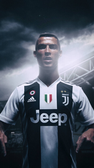 不是因为花 不是因为花